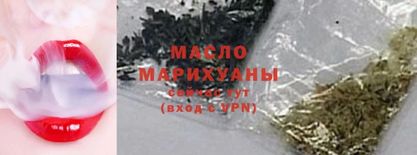гидра Арсеньев