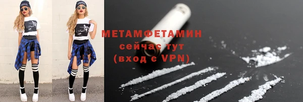 гидра Арсеньев