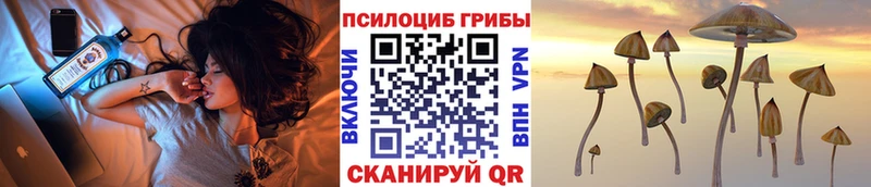 закладка  OMG   Галлюциногенные грибы мухоморы  Арск 